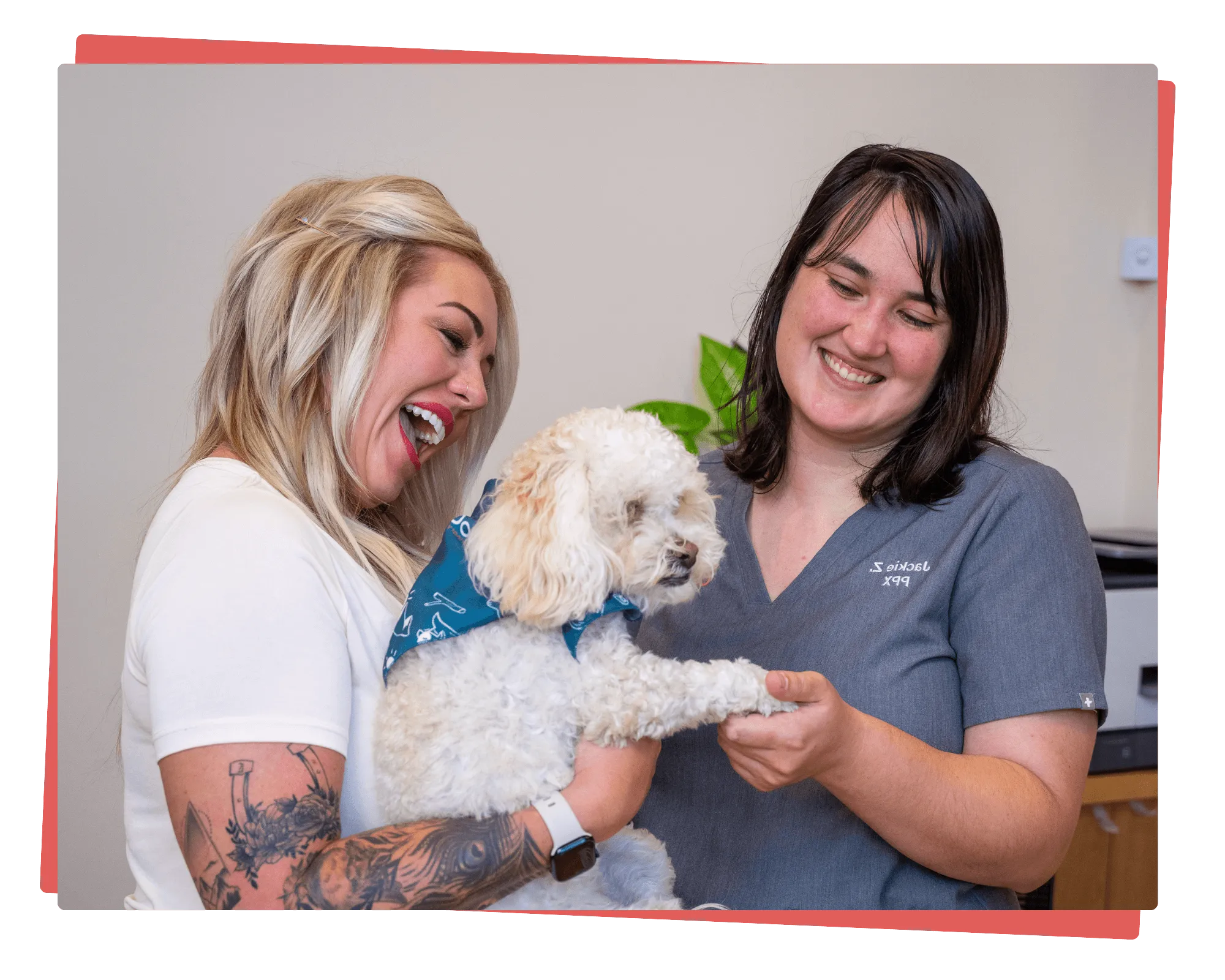 Experience personalized pet care with our dedicated team at Sploot Platt Park.