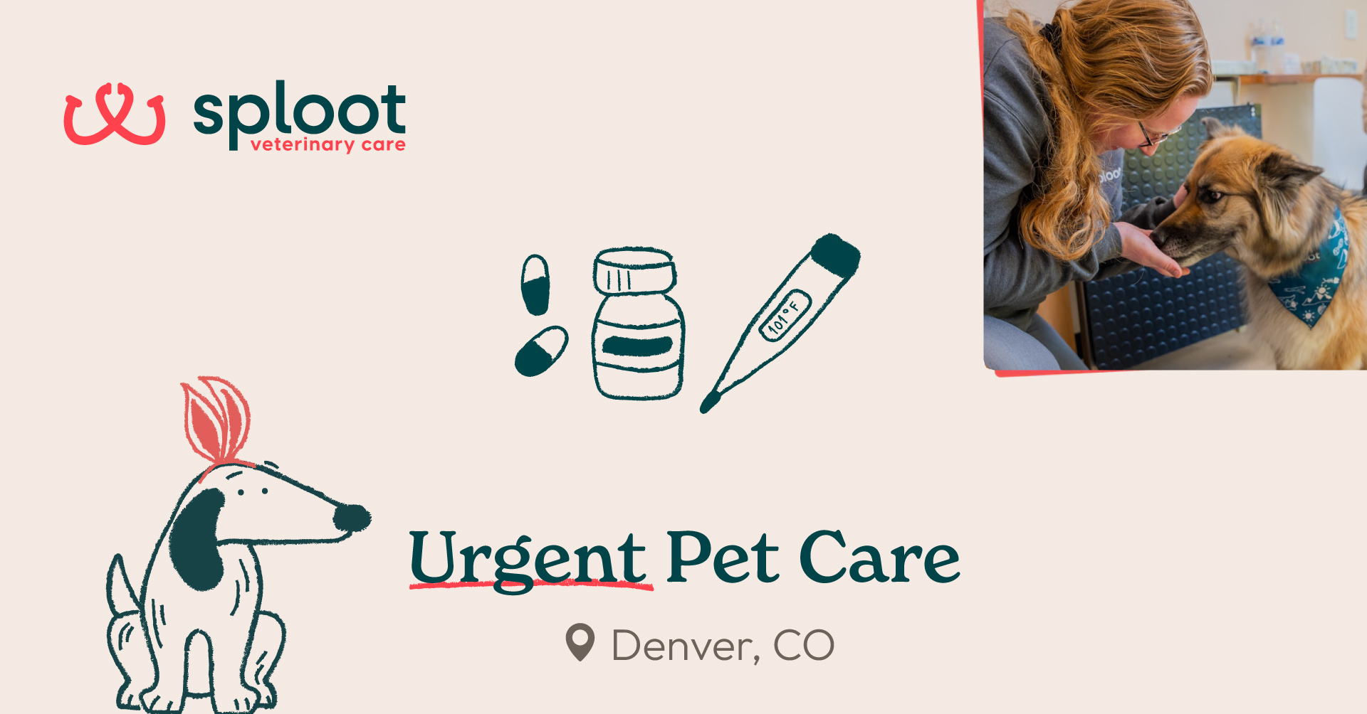 Around-the-clock urgent care ensures your pet is always in good hands.