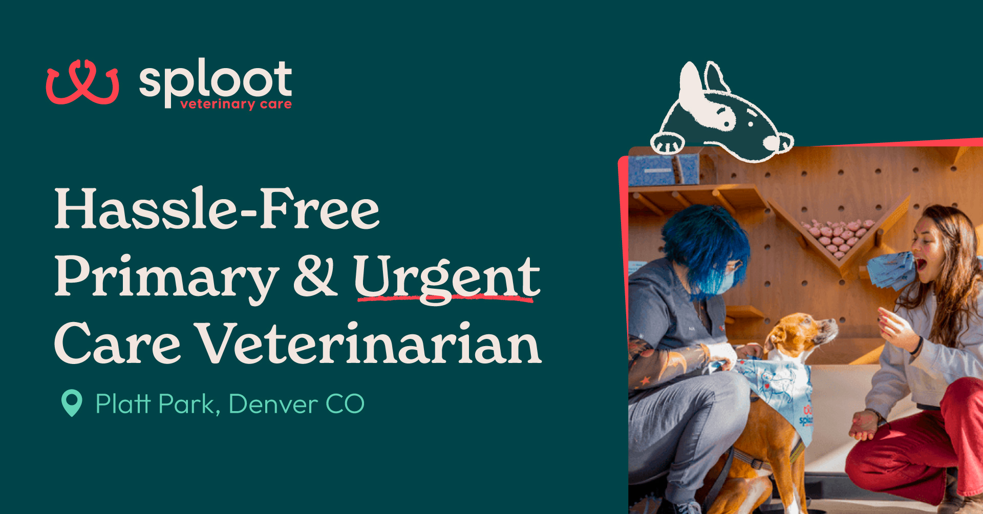 Find us at 1165 S Broadway, Denver, for exceptional pet care every day.