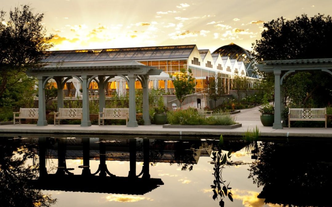 The Green Heart of the City: Denver Botanic Gardens’ Year-Round Attractions